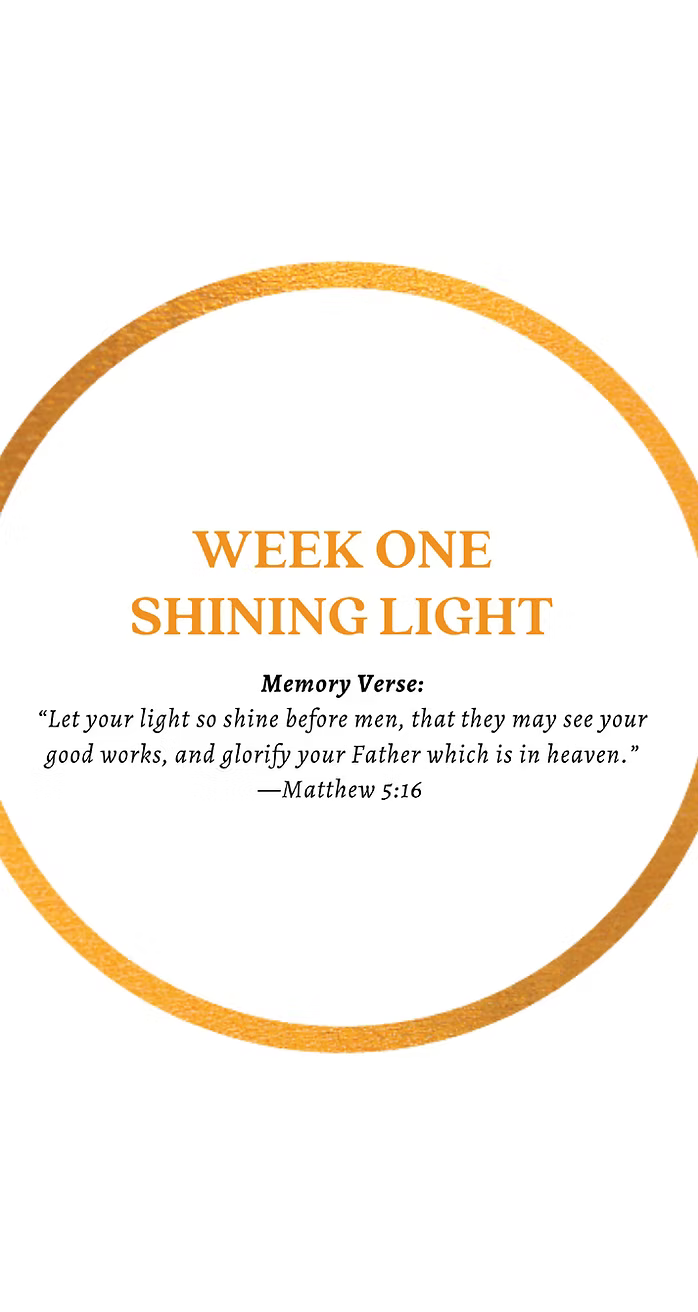 Towers of Light Multimedia Curriculum Bundle (Towers of Light 6 Books + LifeLight + Unit Study Workbook)
