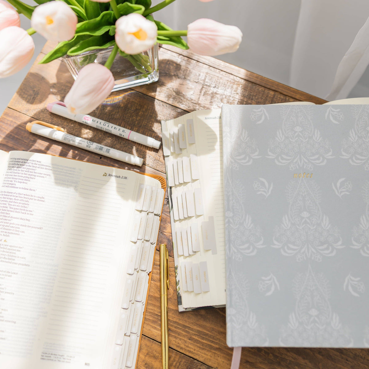 The Saylor Jo Notebook