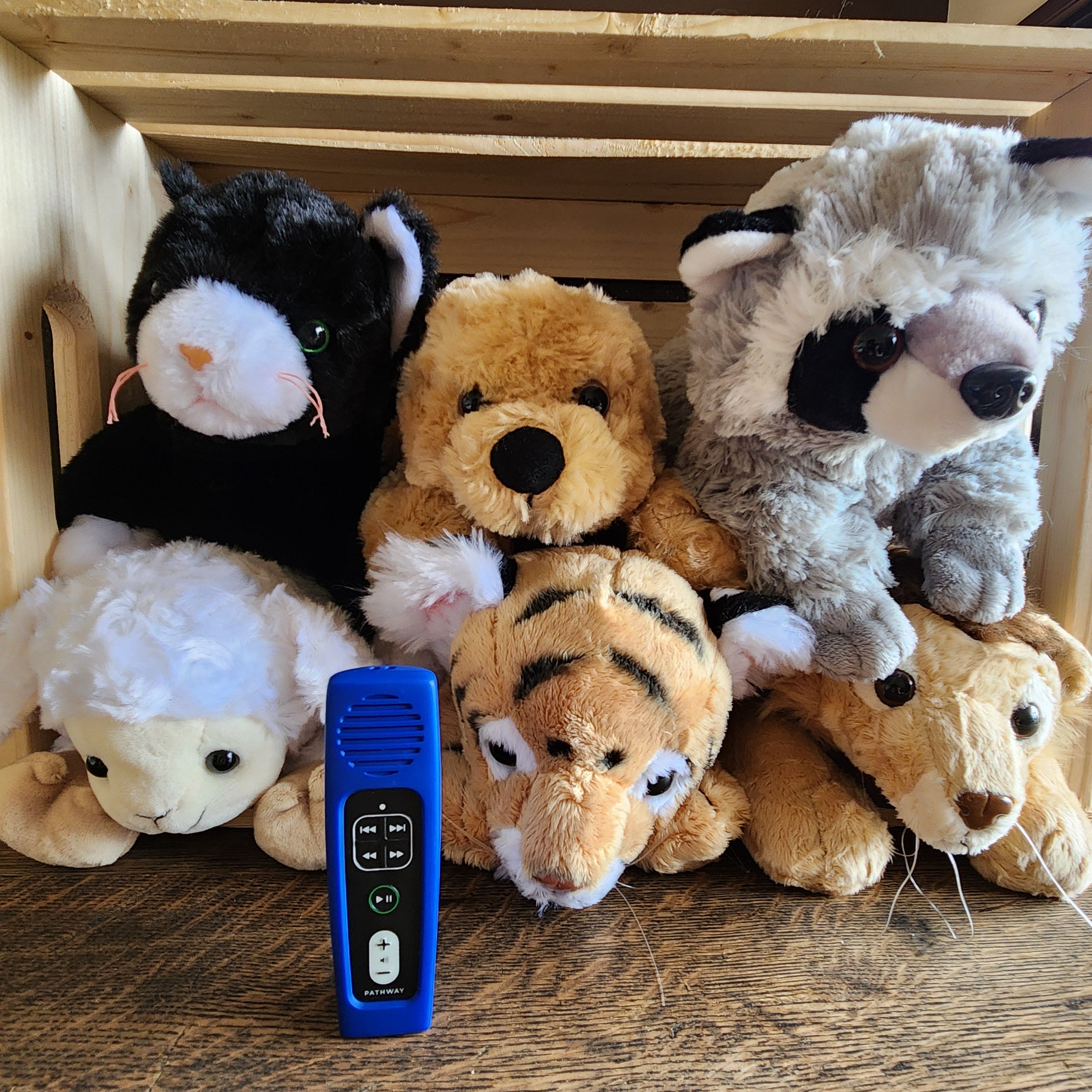 Bible for Young Children Pathway for Kids Audio Player - Choose a Plush