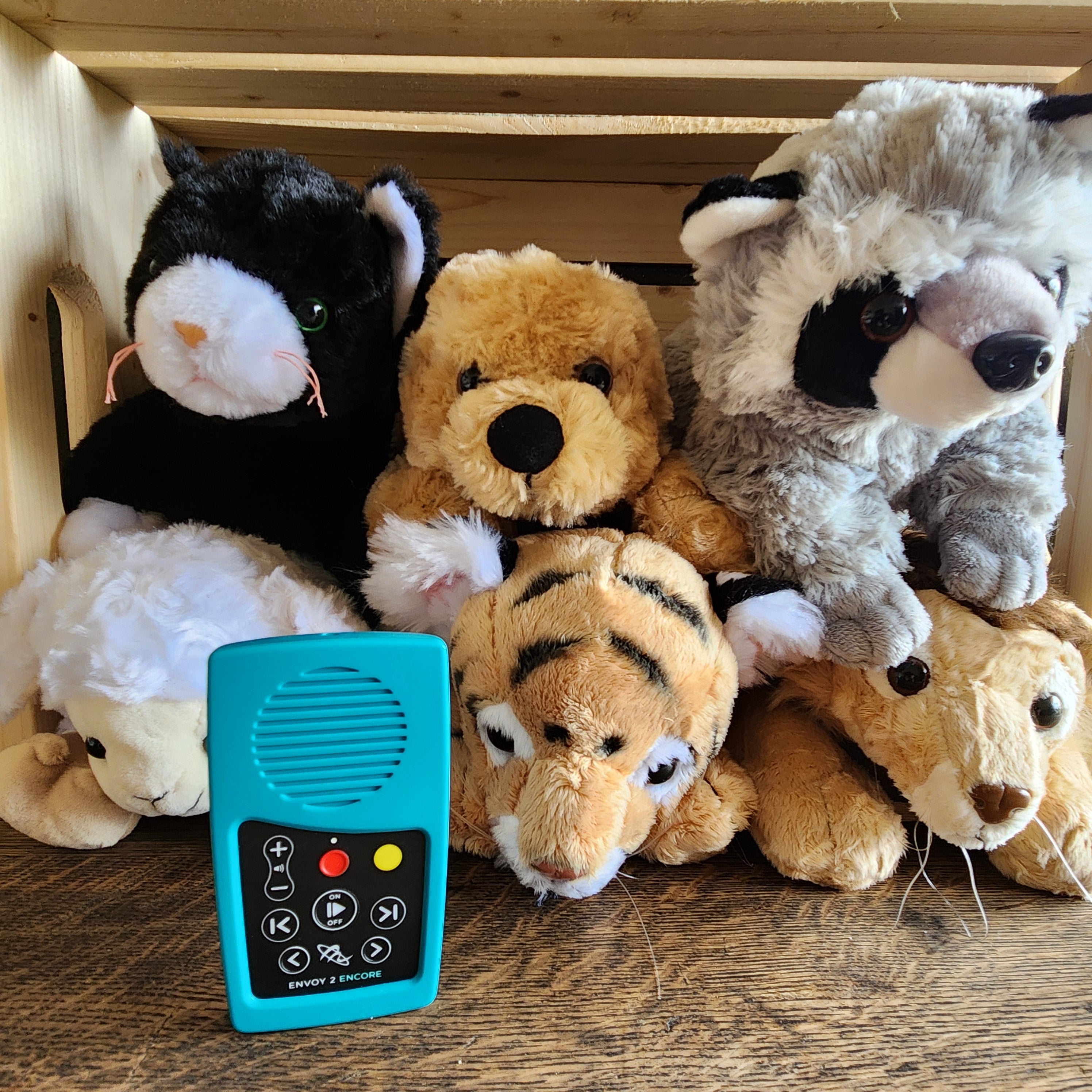 Soothing Sounds and Bible for Young Children Solar+ for Kids Teal Rechargeable Audio Player - Choose a Plush
