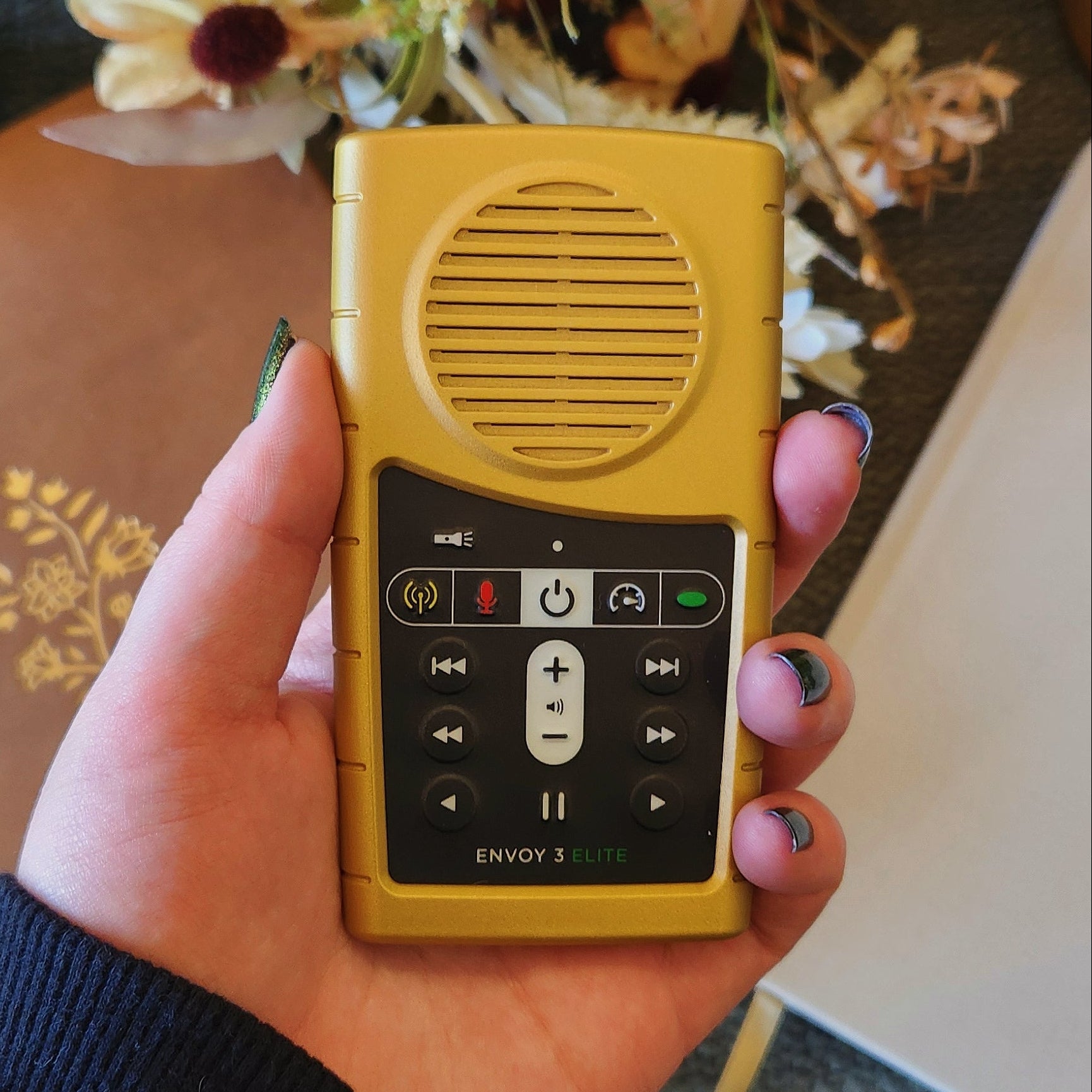 Daily Bible Reader Gold Edition - Handheld Solar Audio Bible Player