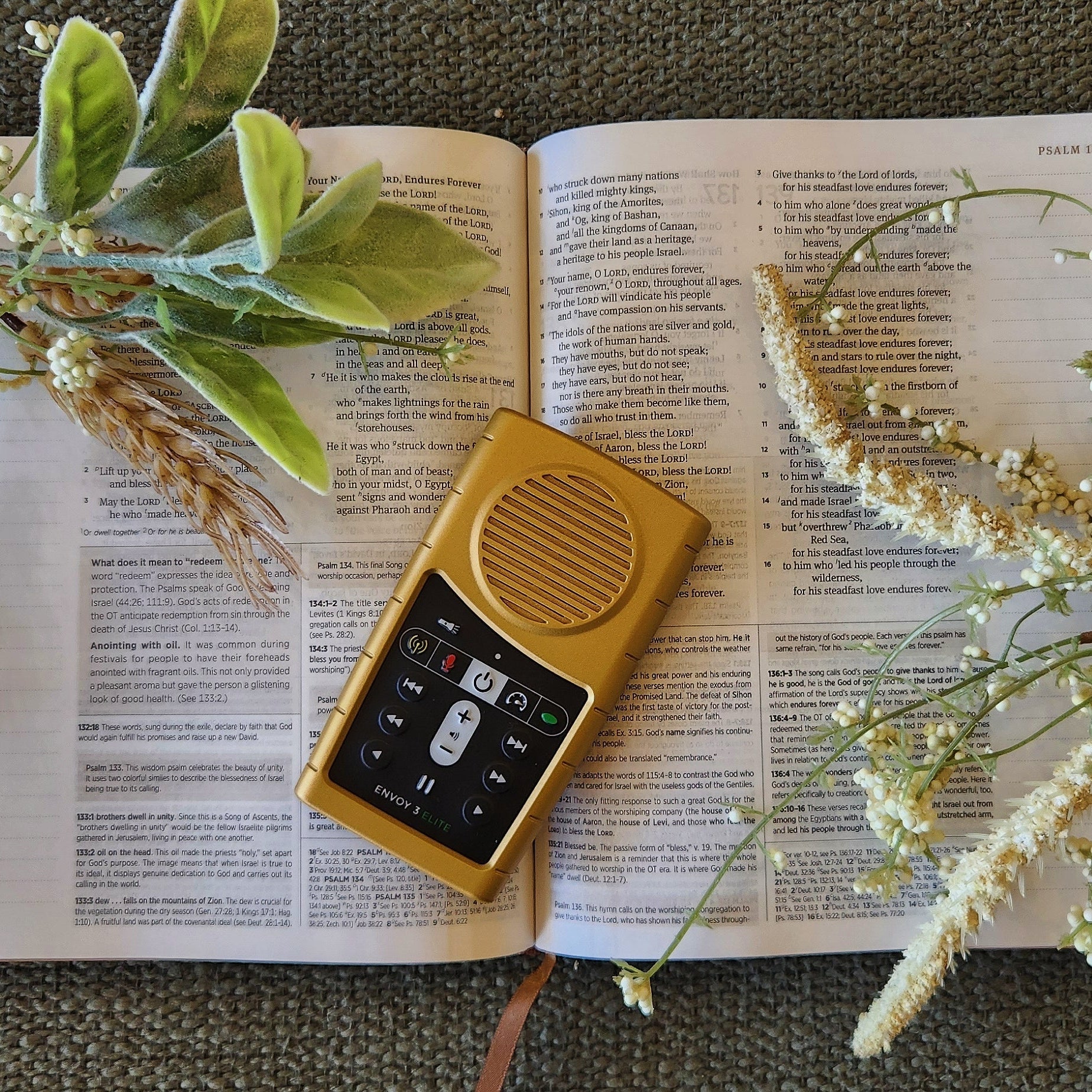 Daily Bible Reader Gold Edition - Handheld Solar Audio Bible Player