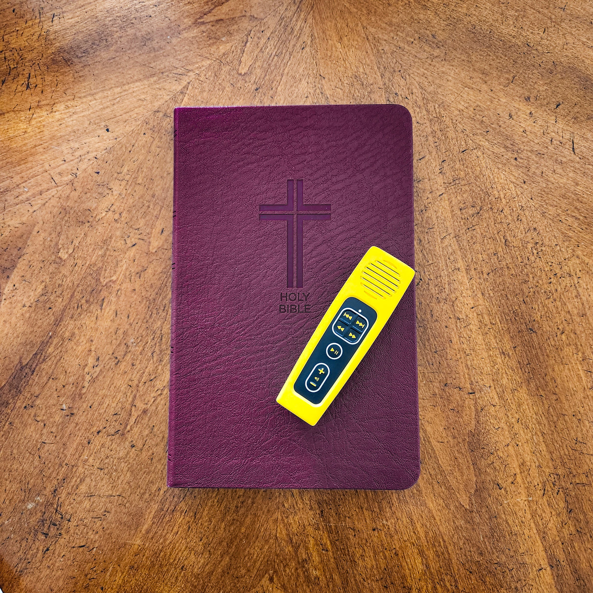 Daily Bible Reader for Kids: Choose Your Bible Version