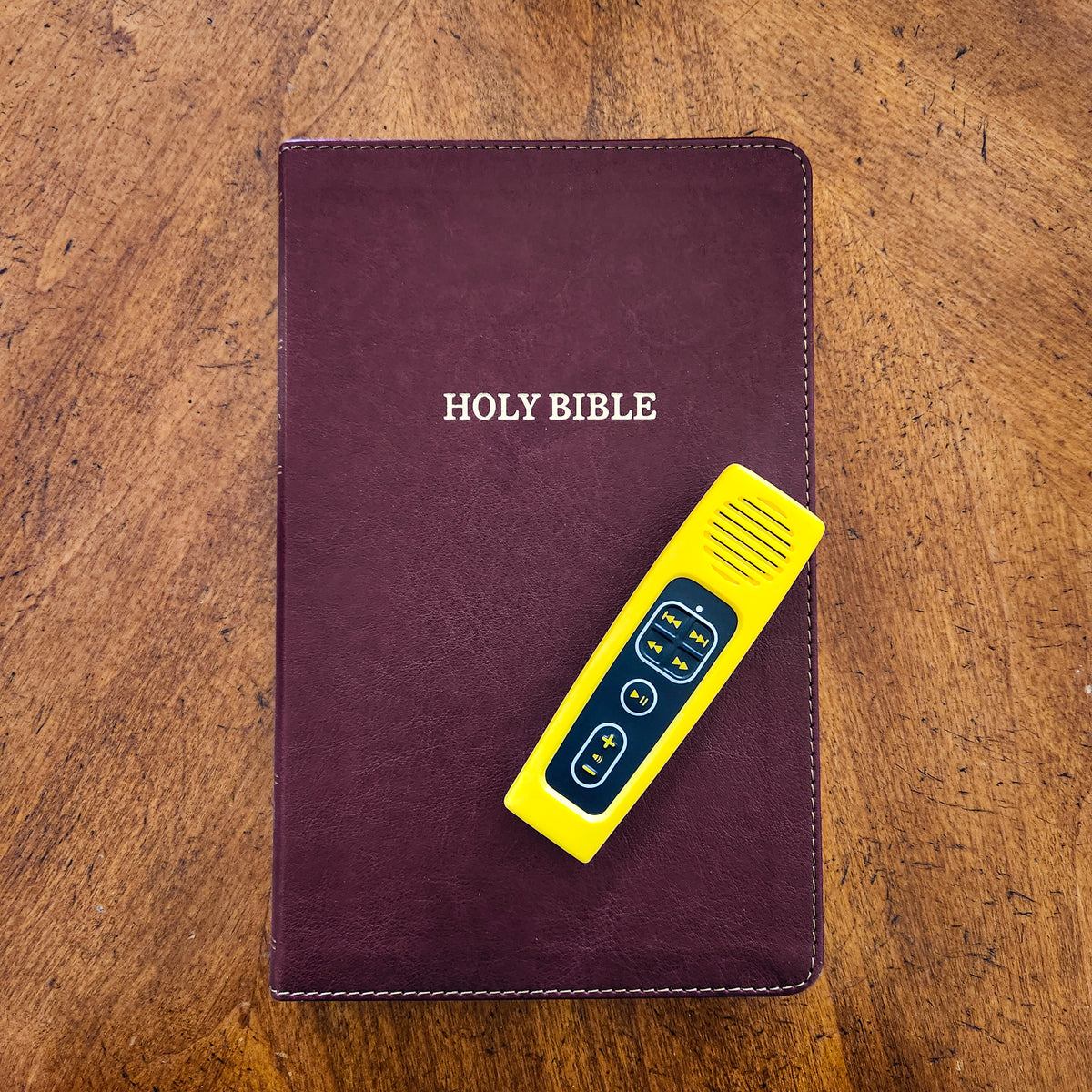 Daily Bible Reader for Kids: Choose Your Bible Version