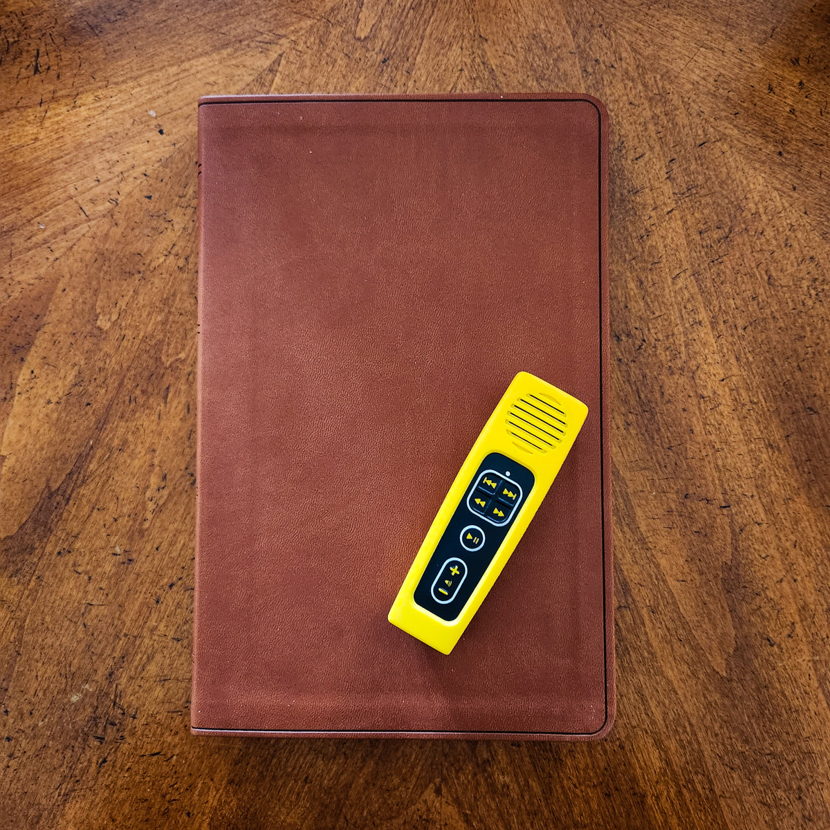 Daily Bible Reader for Kids: Choose Your Bible Version