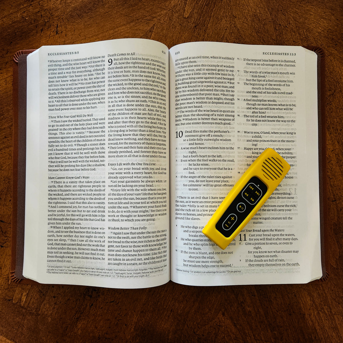 Daily Bible Reader for Kids: Choose Your Bible Version