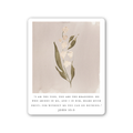 Lily of the Valley Sticker