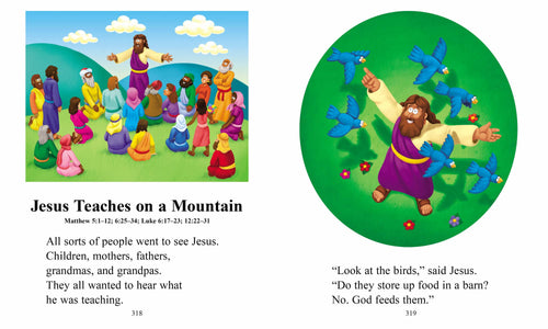 Beginner's Bible (Hardback)