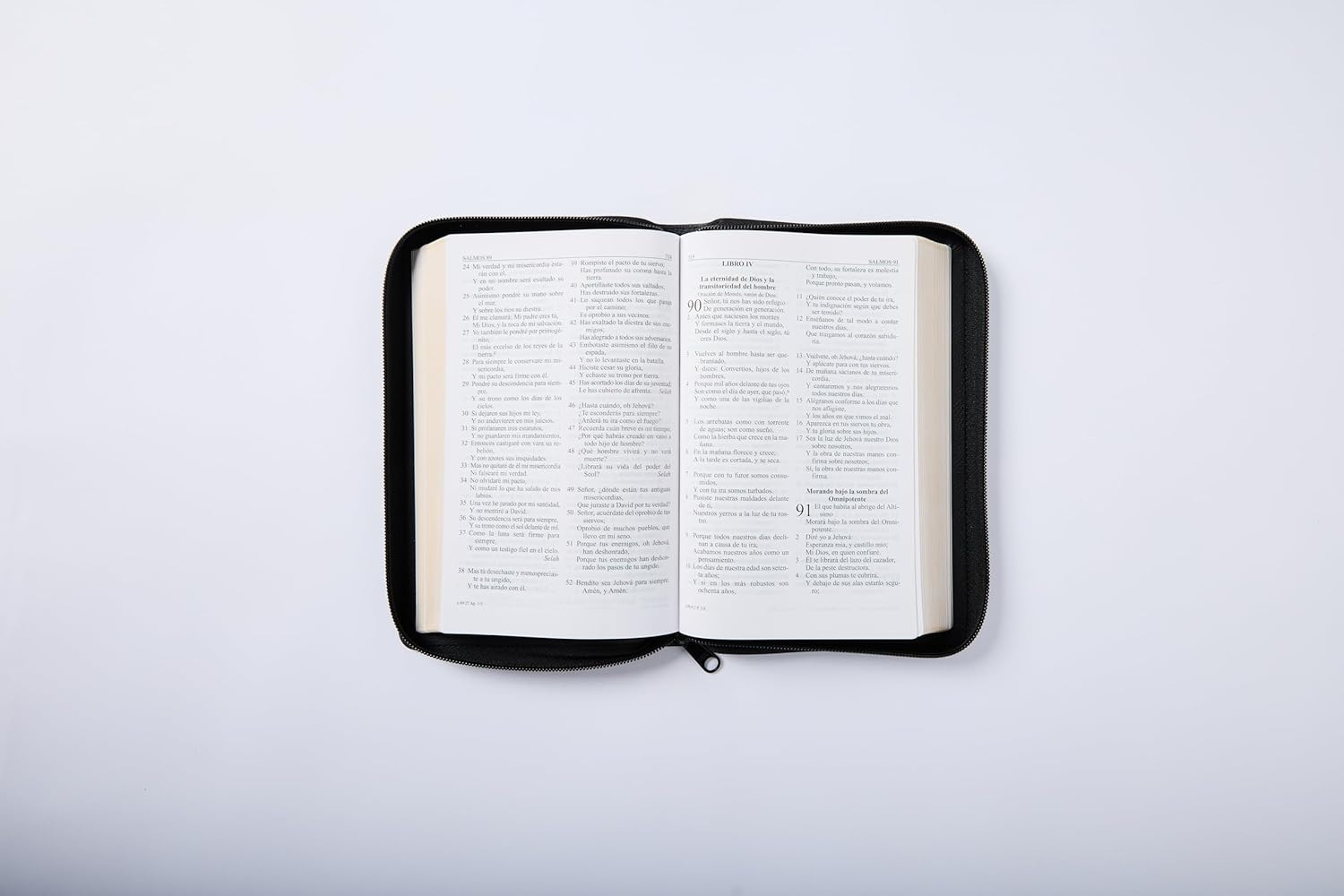 RVR60, Santa Biblia, Letra grande, Edición portátil, Leathersoft, Negro, Palabras de Jesús en Rojo, con cierre (Spanish Edition)