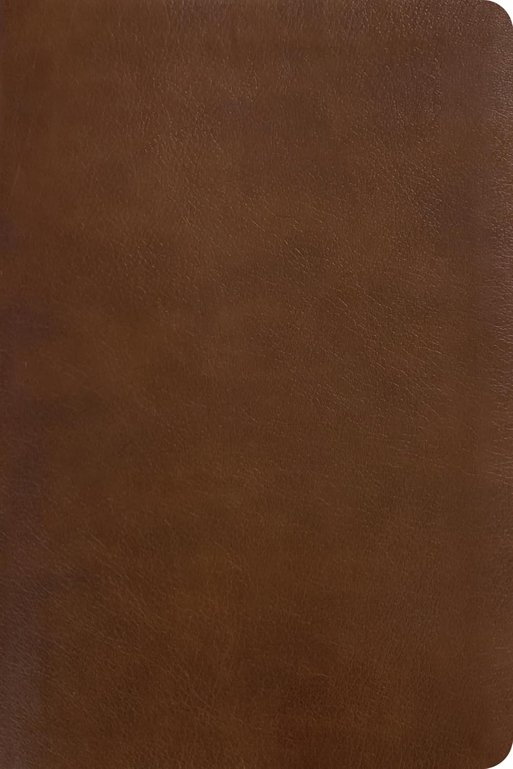 NLT Chronological Study Bible