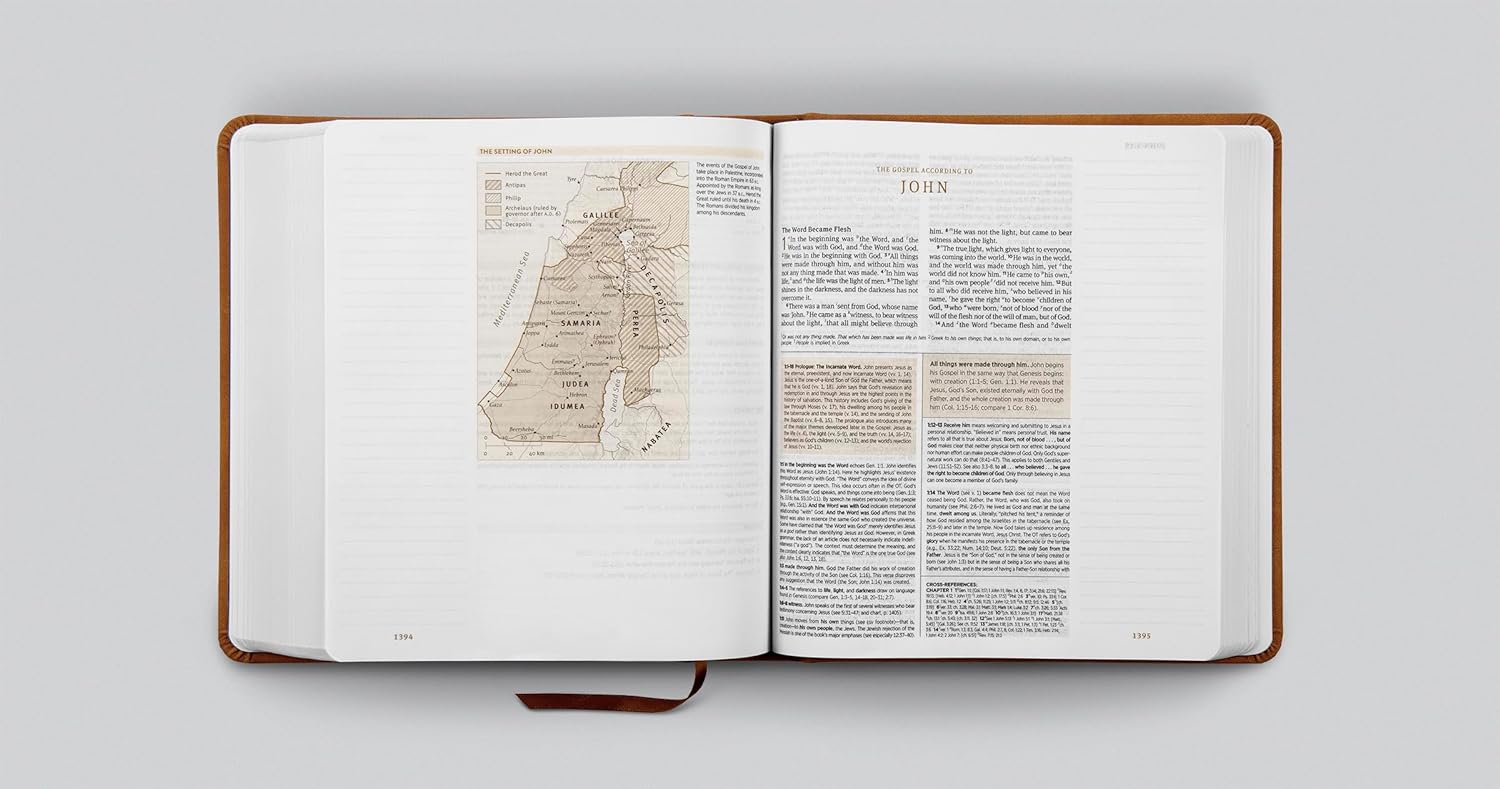 ESV Journaling Study Bible (TruTone over Board, Nubuck Caramel): Holy Bible, English Standard Version