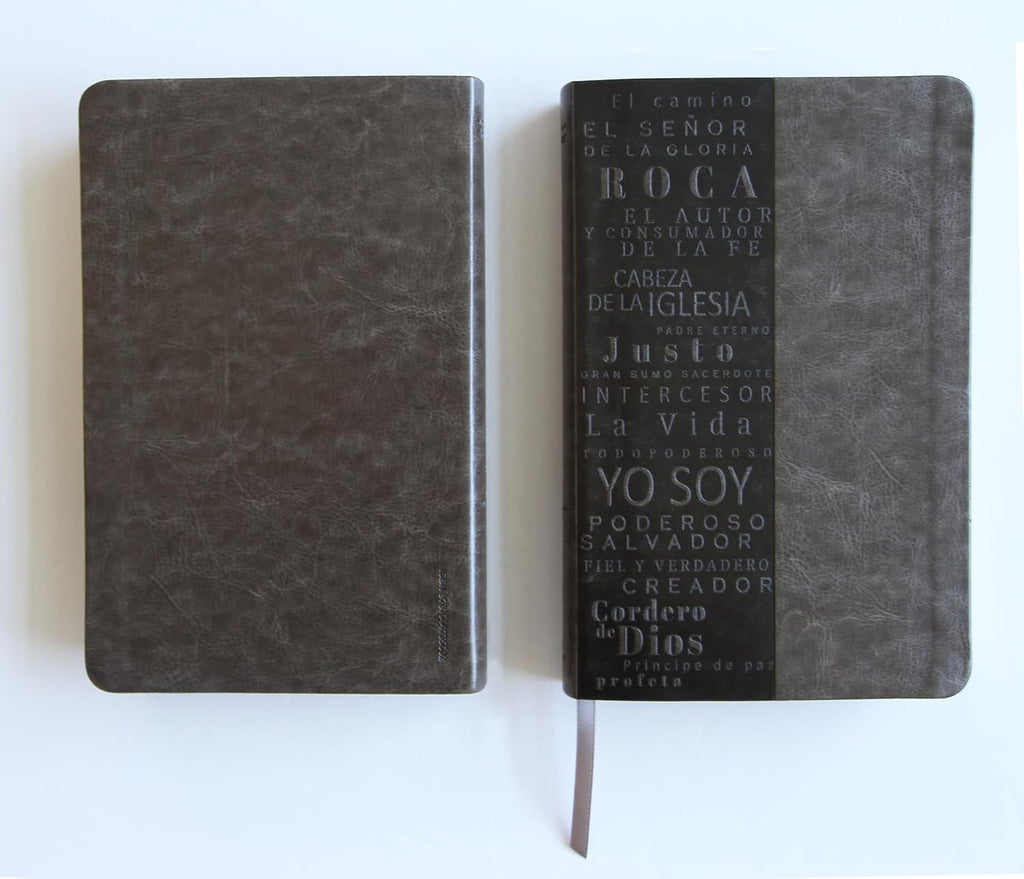 Biblia RVR 1960 letra grande tamaño manual, simil piel gris con nombres de Dios / Spanish Bible RVR 1960 Handy Size Large Print Leathersoft Grey, Names of God (Spanish Edition)