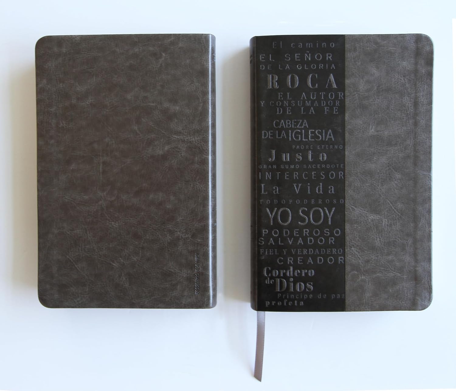 Biblia RVR 1960 letra grande tamaño manual, simil piel gris con nombres de Dios / Spanish Bible RVR 1960 Handy Size Large Print Leathersoft Grey, Names of God (Spanish Edition)