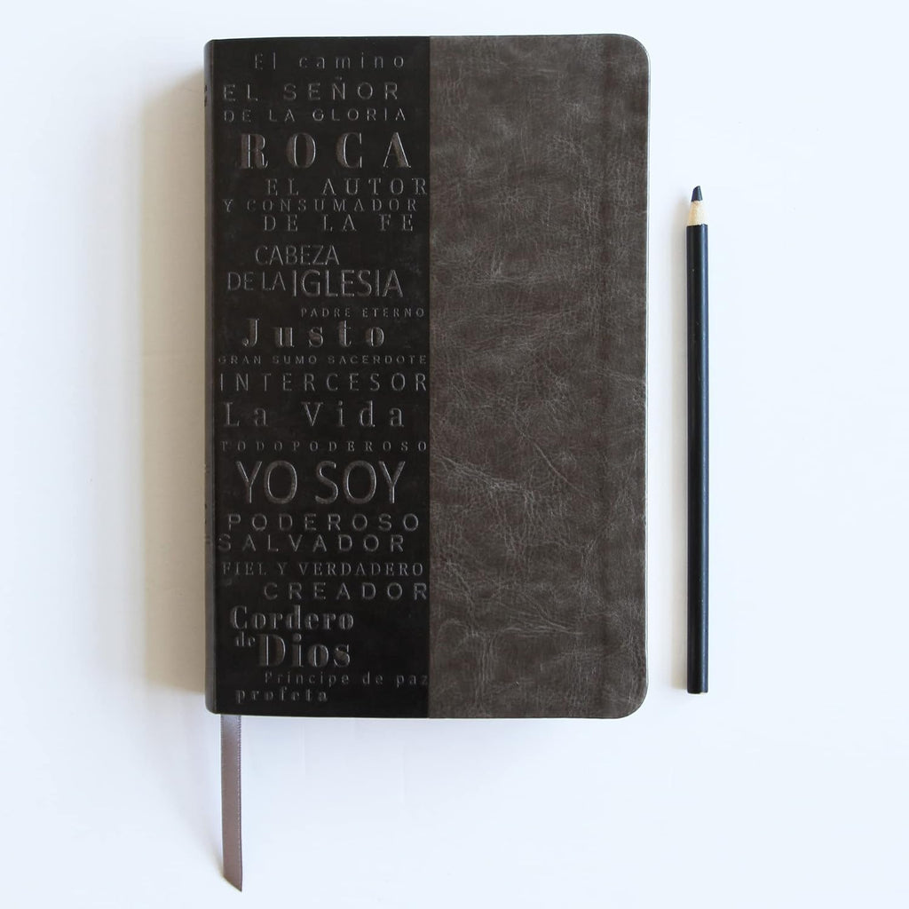 Biblia RVR 1960 letra grande tamaño manual, simil piel gris con nombres de Dios / Spanish Bible RVR 1960 Handy Size Large Print Leathersoft Grey, Names of God (Spanish Edition)
