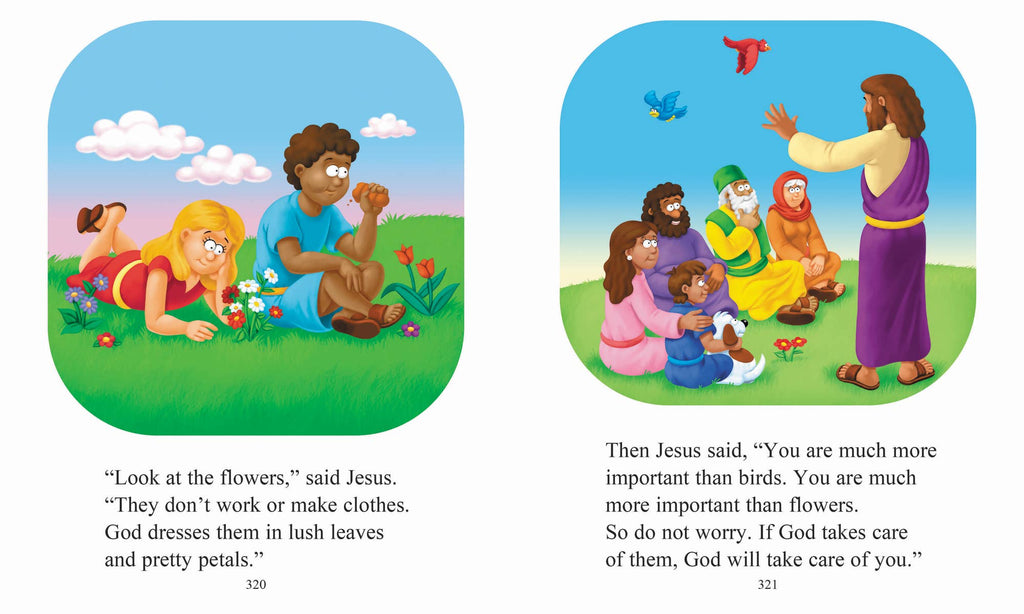 Beginner's Bible (Hardback)