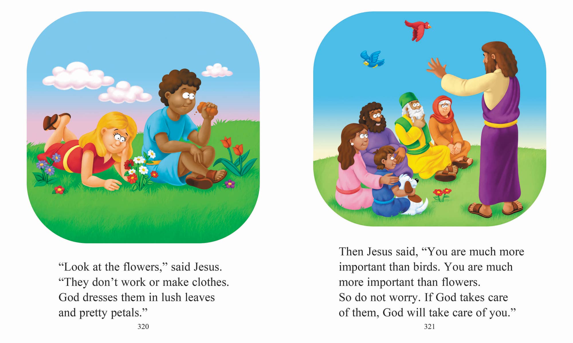 Beginner's Bible (Hardback)