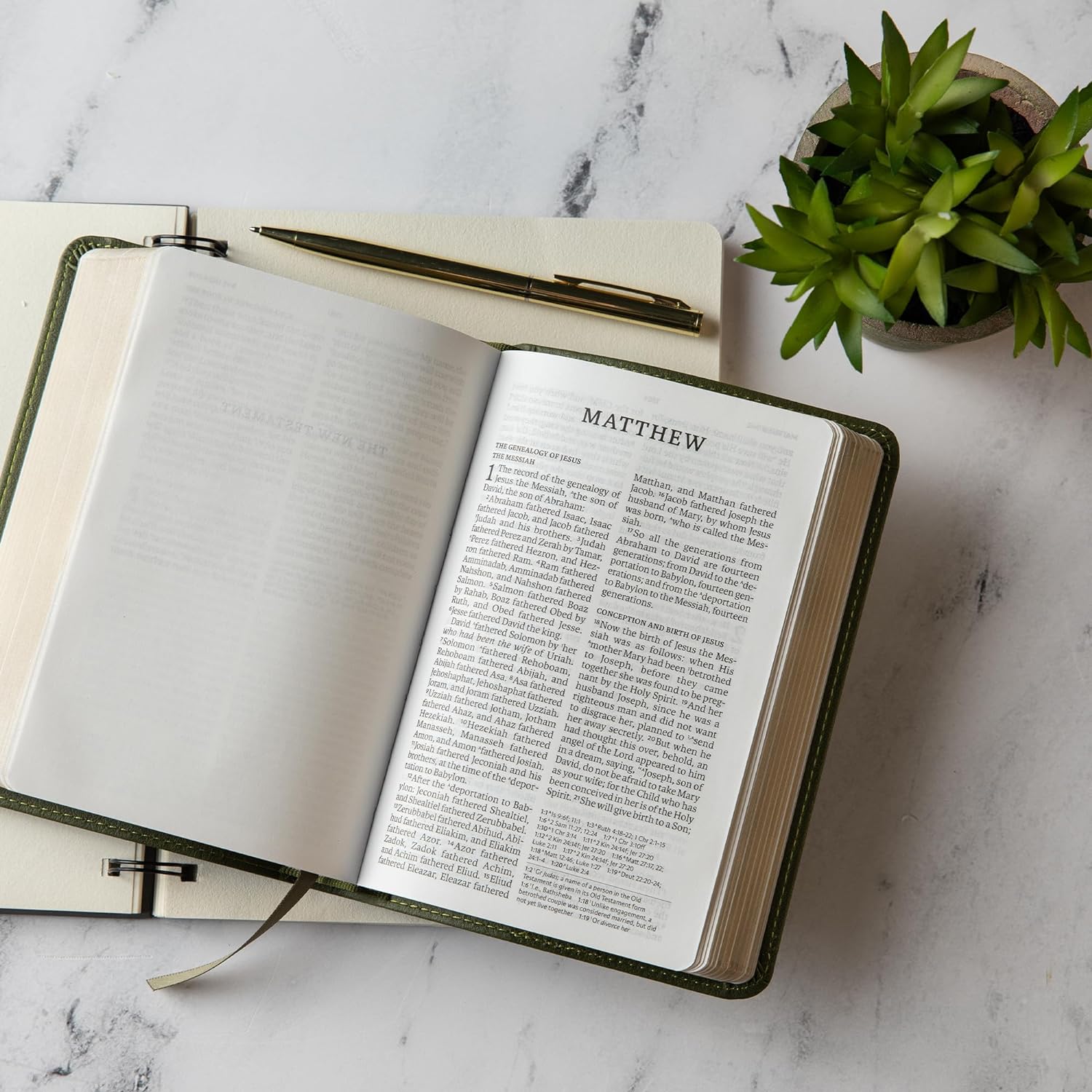 NASB Large Print Compact Reference Bible, Olive LeatherTouch, Red Letter, Presentation Page, Cross-References, Full-Color Maps, Easy-to-Read Bible Karmina Type