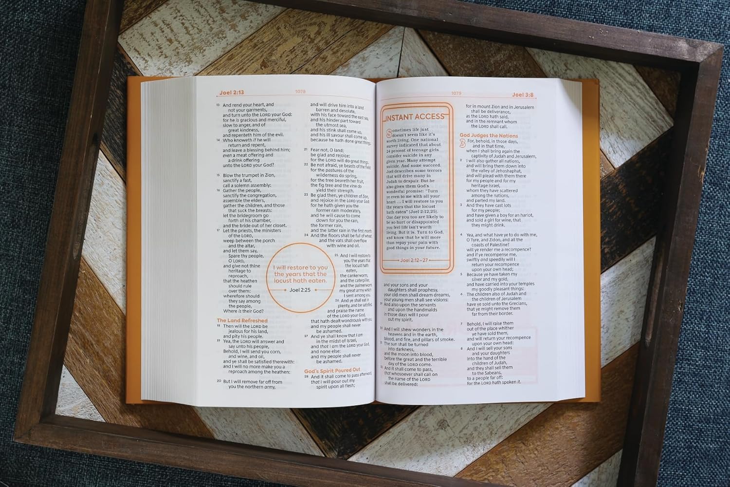 KJV, Teen Study Bible, Hardcover, Comfort Print