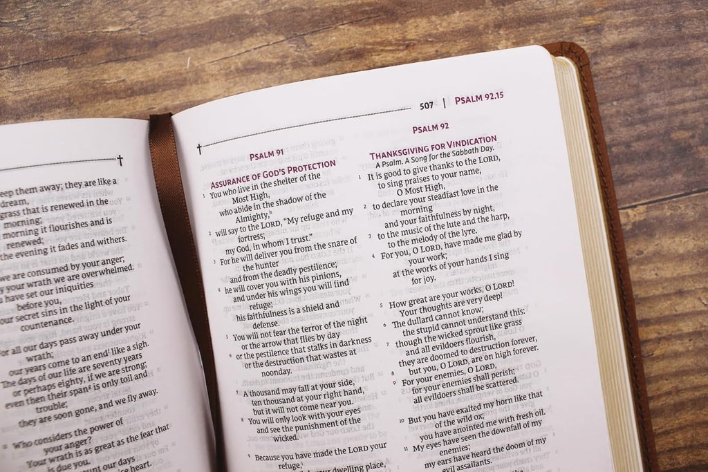NRSVue Compact Bible Brown