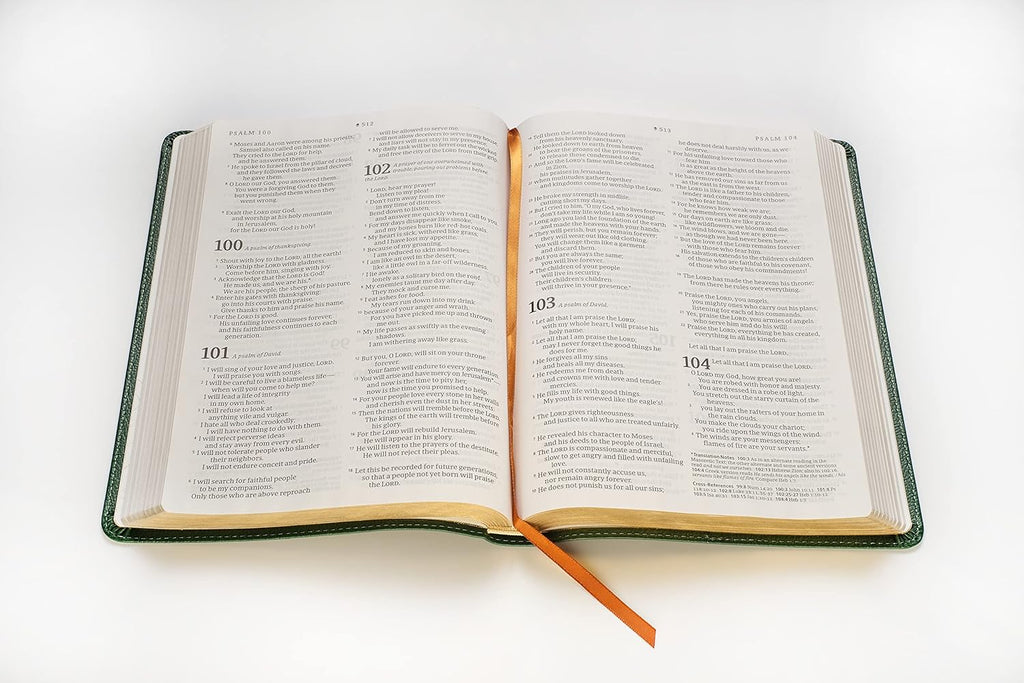NLT Large Print Thinline Reference Bible, DaySpring Signature Collection, Filament Enabled (LeatherLike, Evergreen, Red Letter): DaySpring Signature Collection