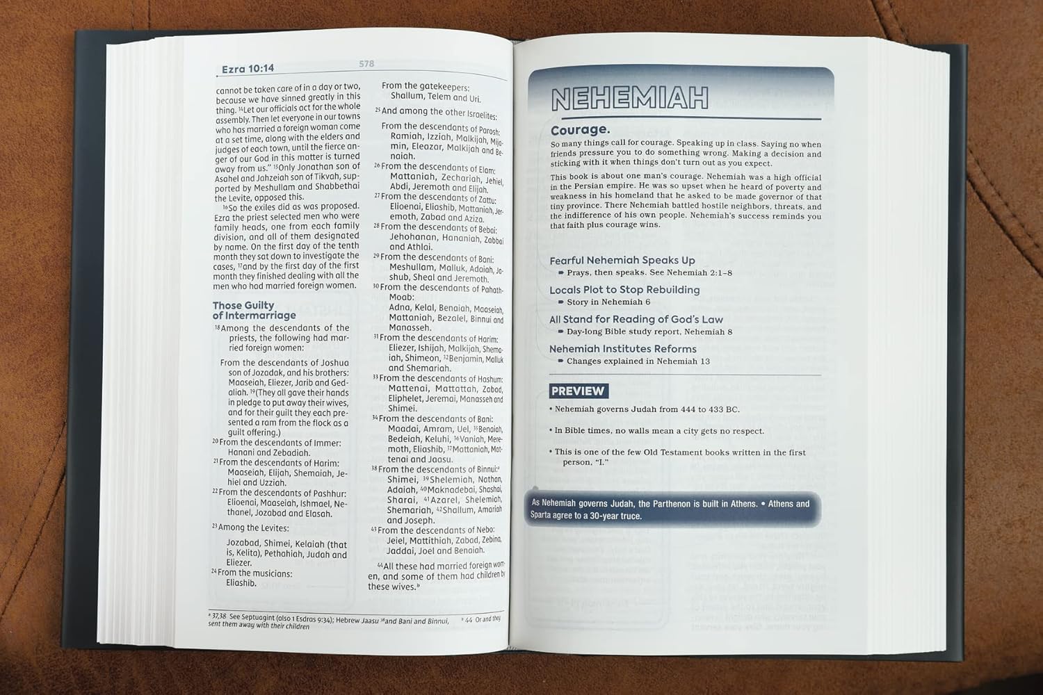 NIV, Teen Study Bible (For Life Issues You Face Every Day), Hardcover, Navy, Comfort Print