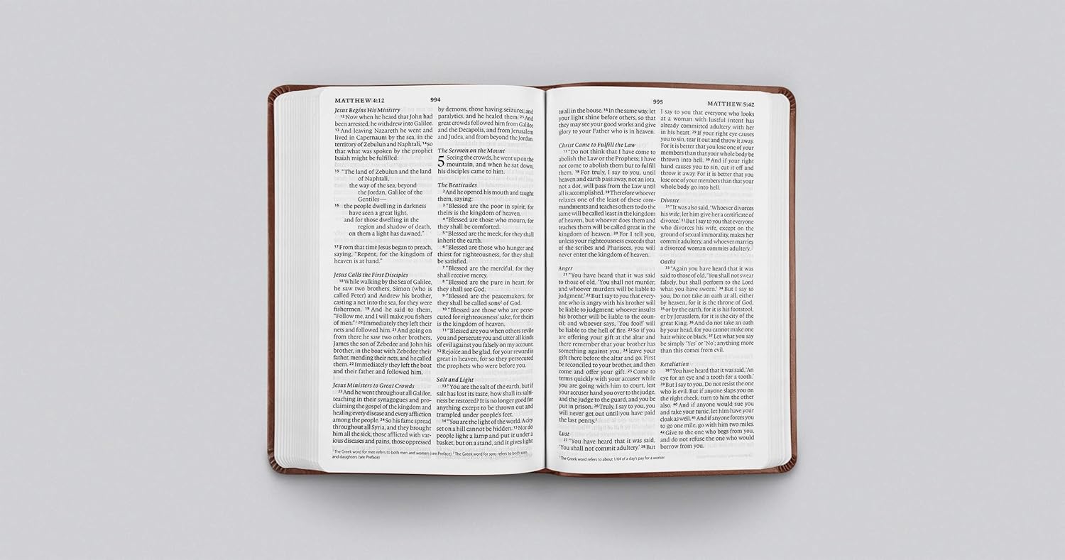 ESV Large Print Value Thinline Bible (TruTone, Chestnut)