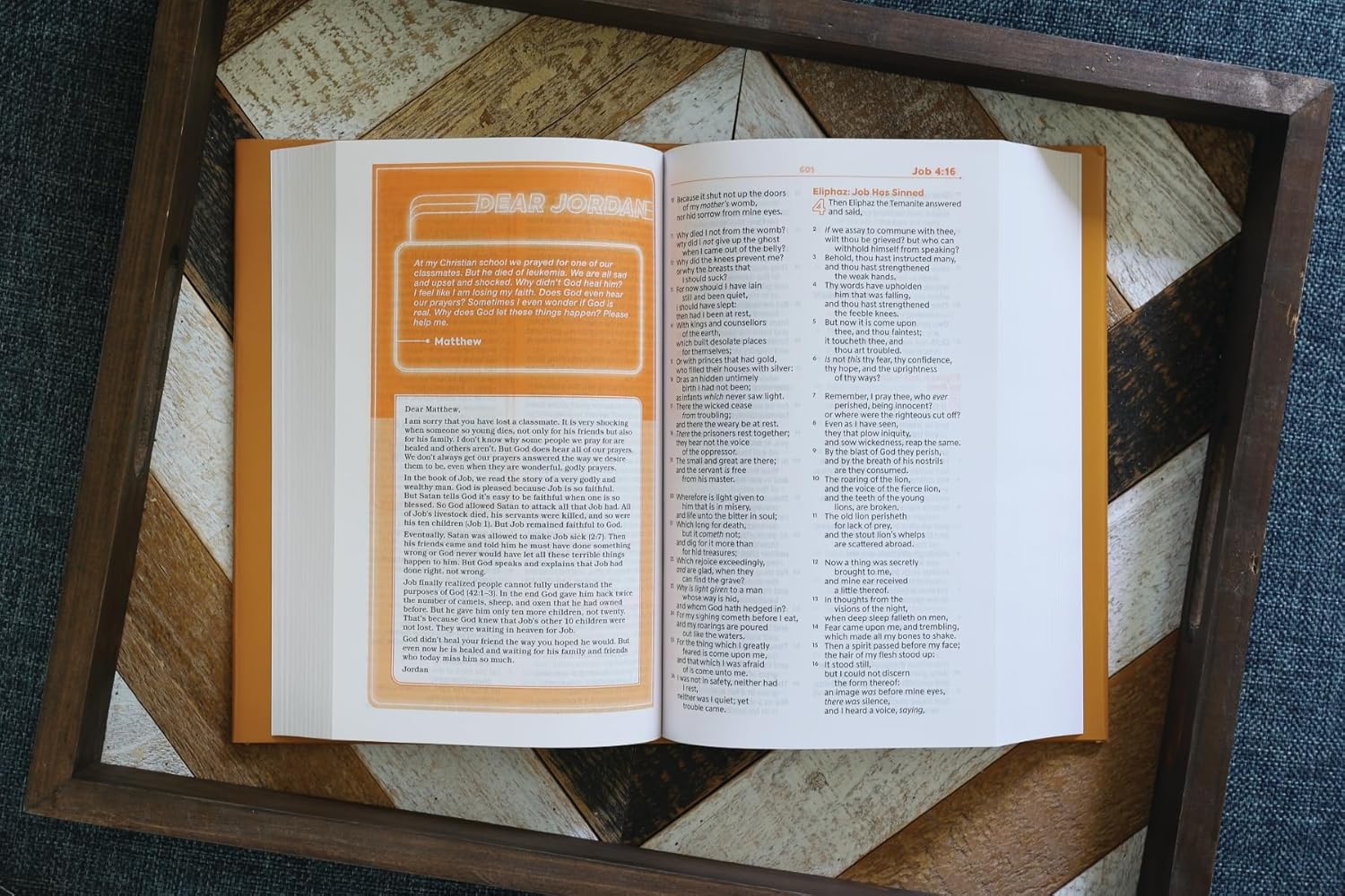 KJV, Teen Study Bible, Hardcover, Comfort Print