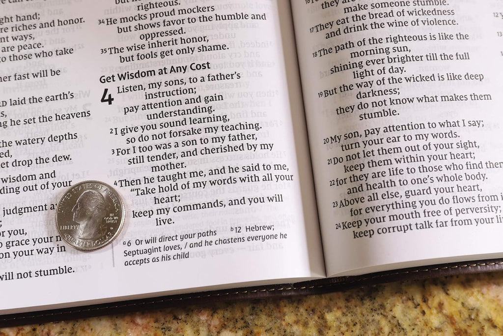 NIV, Value Thinline Bible, Large Print, Leathersoft, Brown, Comfort Print