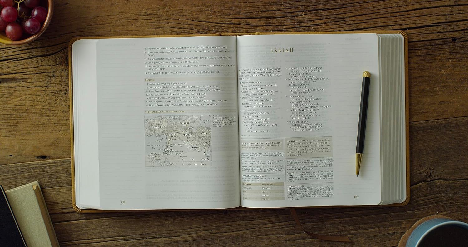 ESV Journaling Study Bible (TruTone over Board, Nubuck Caramel): Holy Bible, English Standard Version
