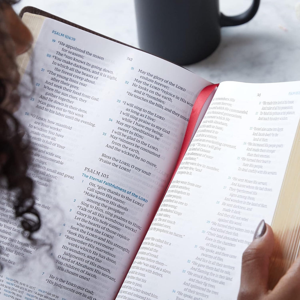 NKJV, Large Print Verse-by-Verse Reference Bible, Maclaren Series, Leathersoft, Brown, Comfort Print: Holy Bible, New King James Version