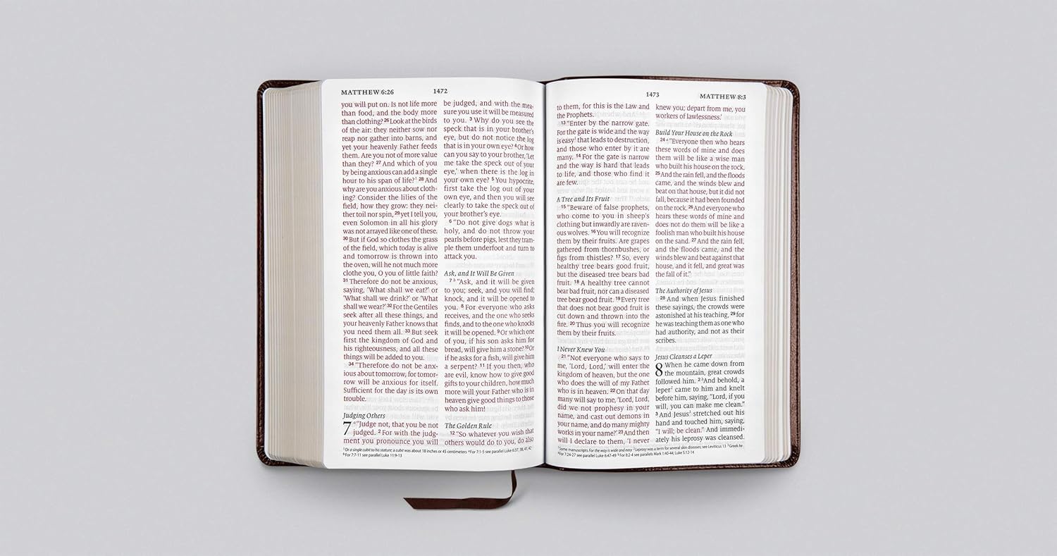 ESV Large Print Personal Size Bible (TruTone, Chestnut)