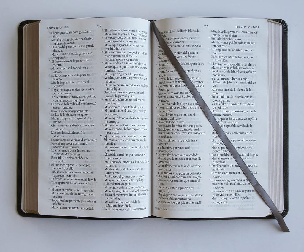 Biblia RVR 1960 letra grande tamaño manual, simil piel gris con nombres de Dios / Spanish Bible RVR 1960 Handy Size Large Print Leathersoft Grey, Names of God (Spanish Edition)