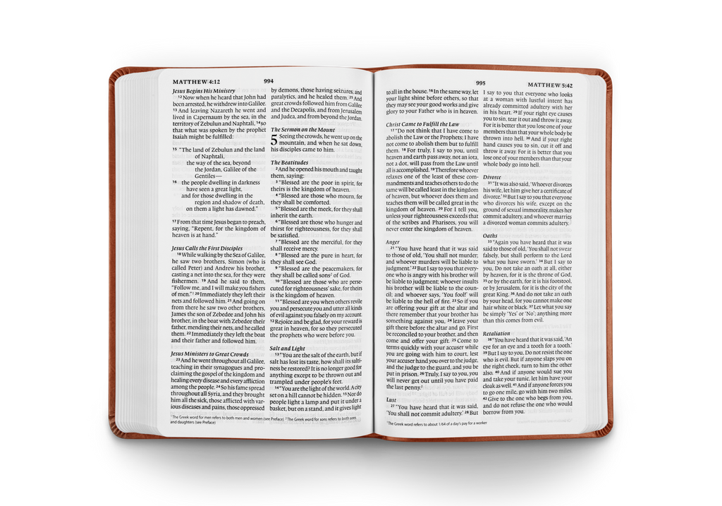 ESV Large Print Value Thinline Bible, TruTone Camel – detail 3
