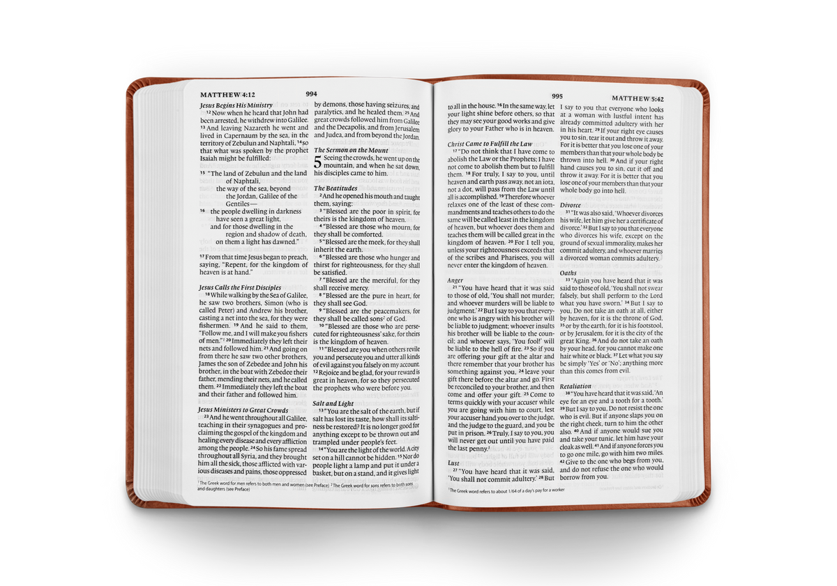 ESV Large Print Value Thinline Bible, TruTone Camel – detail 3
