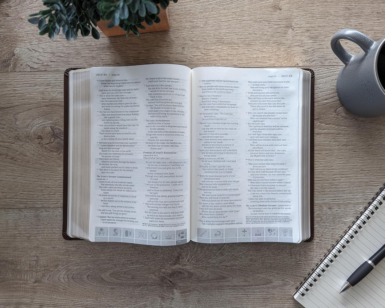 NLT Chronological Study Bible