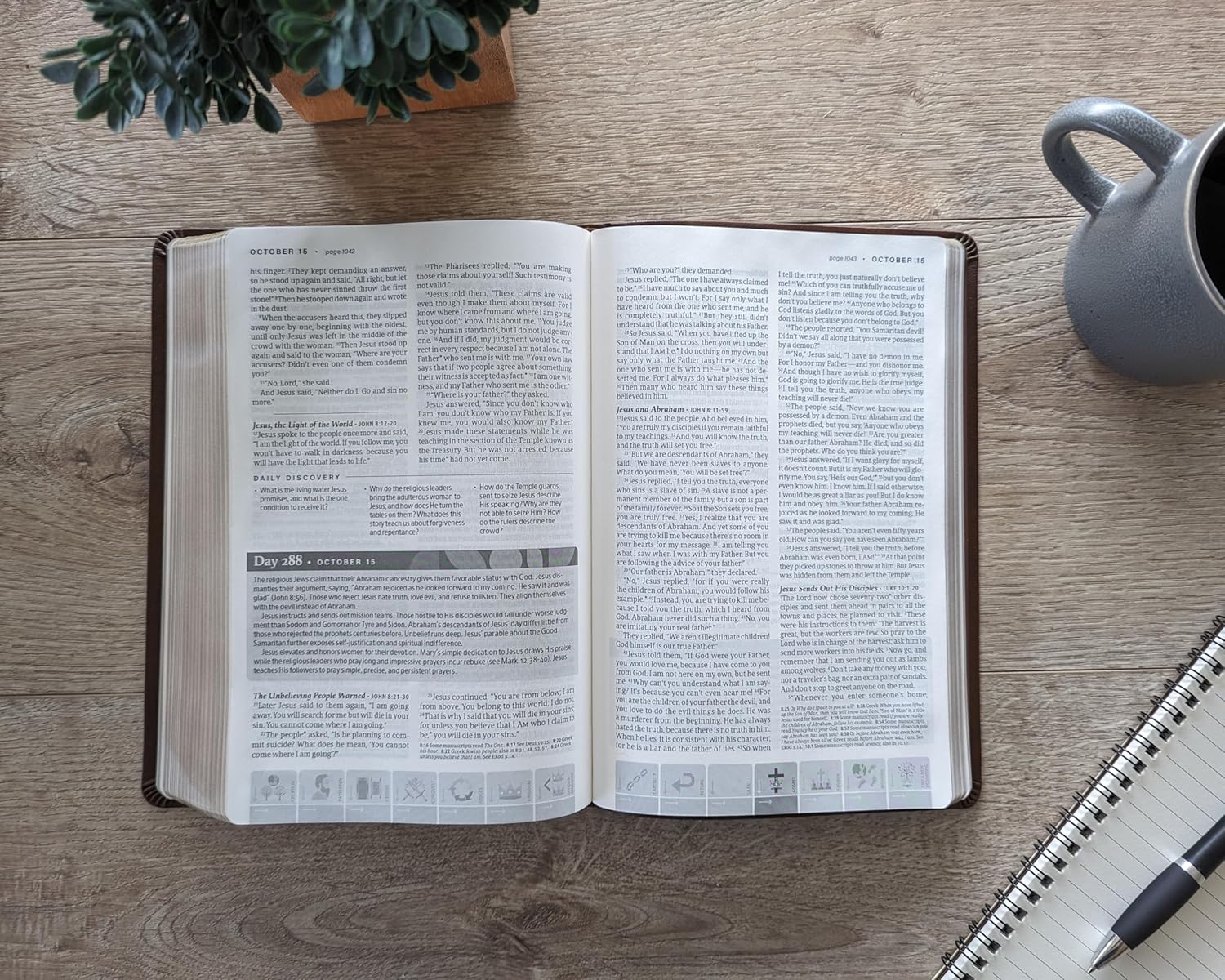 NLT Chronological Study Bible