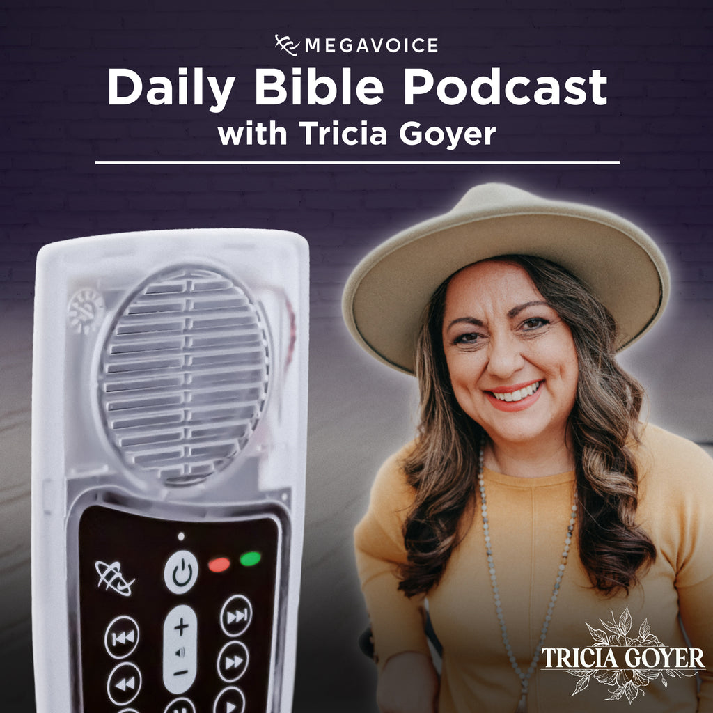 Chronological New Living Translation (NLT) + Daily Bible Podcast Solar+ Rechargeable Audio Bible