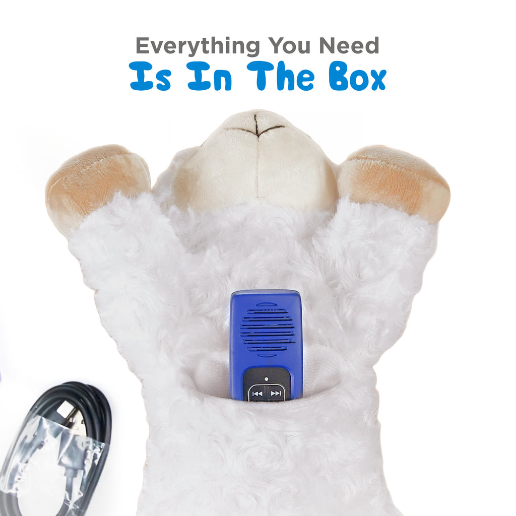 Bible for Young Children Pathway for Kids Audio Player - Choose a Plush