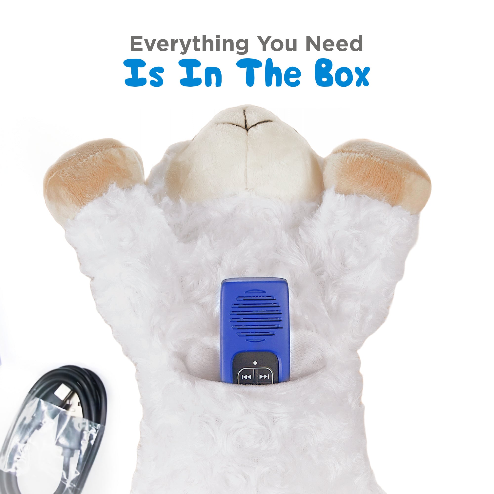 Bible for Young Children Pathway for Kids Audio Player - Choose a Plush