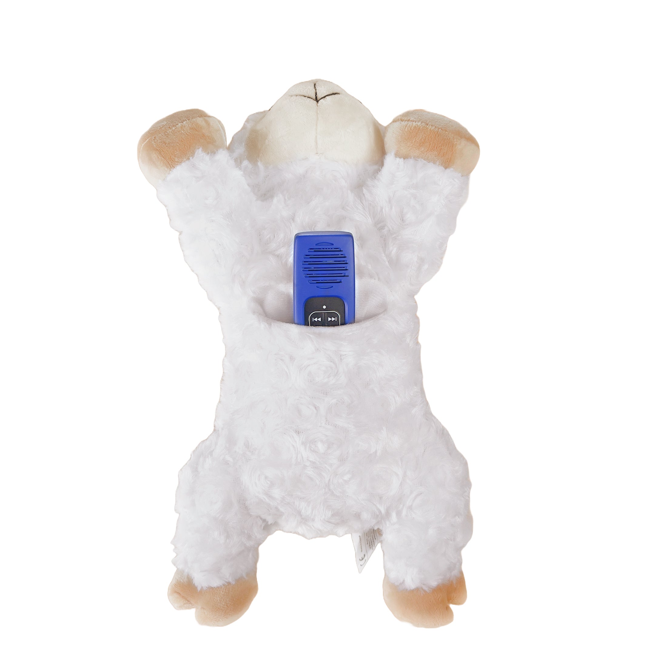 Bible for Young Children Pathway for Kids Audio Player - Choose a Plush