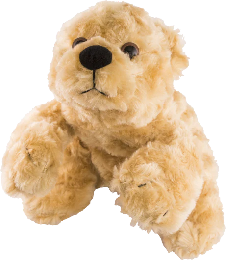 Bible for Young Children Pathway for Kids Audio Player - Choose a Plush