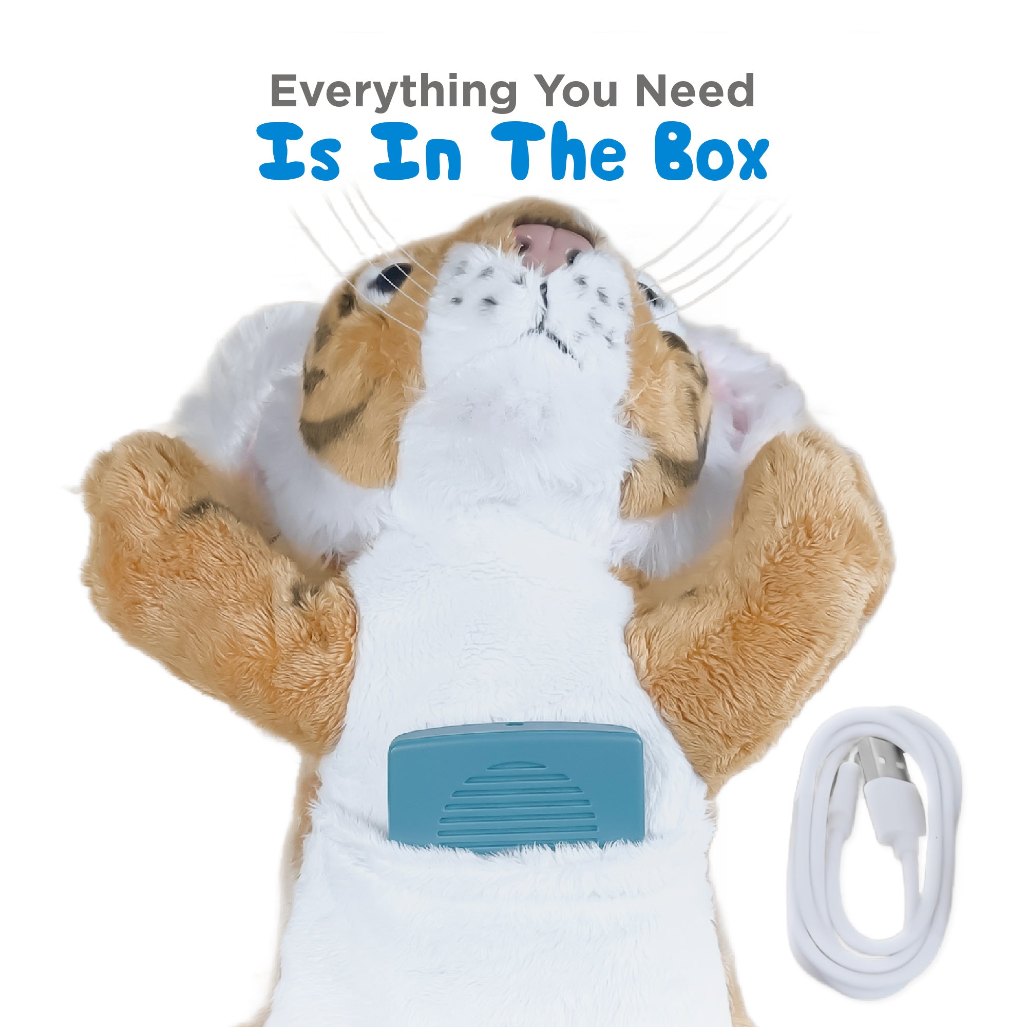 Soothing Sounds and Bible for Young Children Solar+ for Kids Teal Rechargeable Audio Player - Choose a Plush
