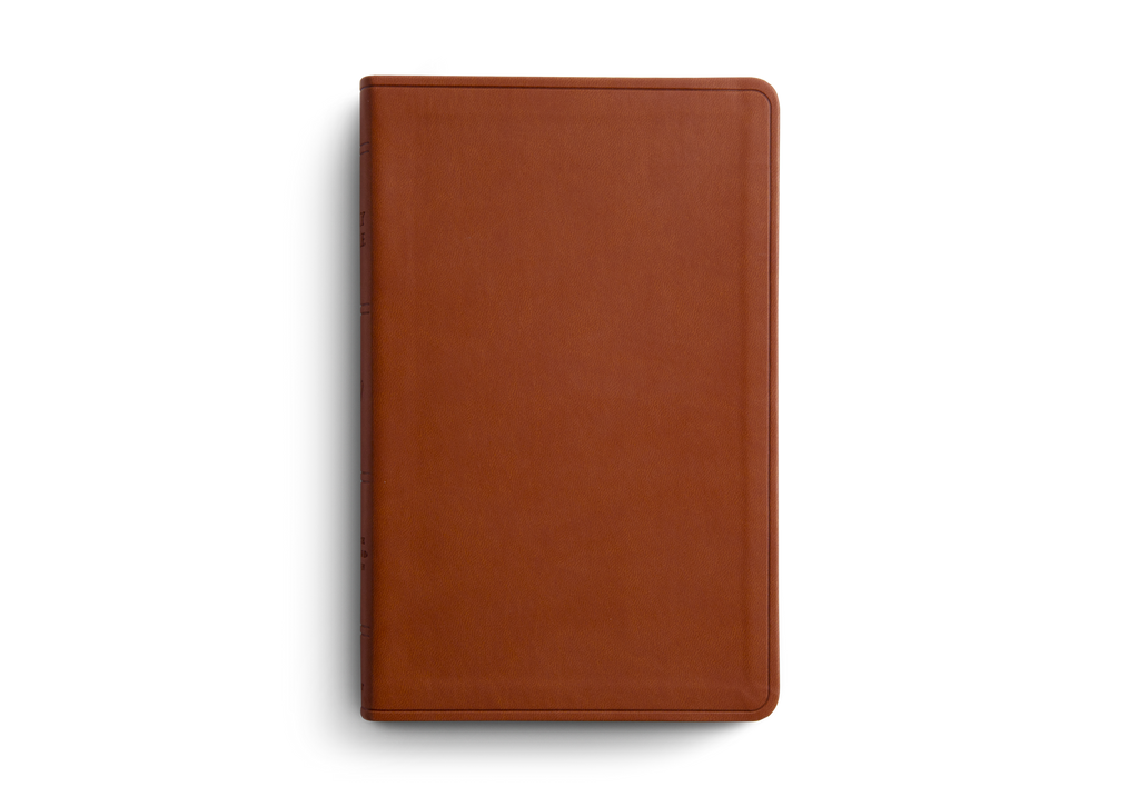 ESV Large Print Value Thinline Bible, TruTone Camel – detail 2