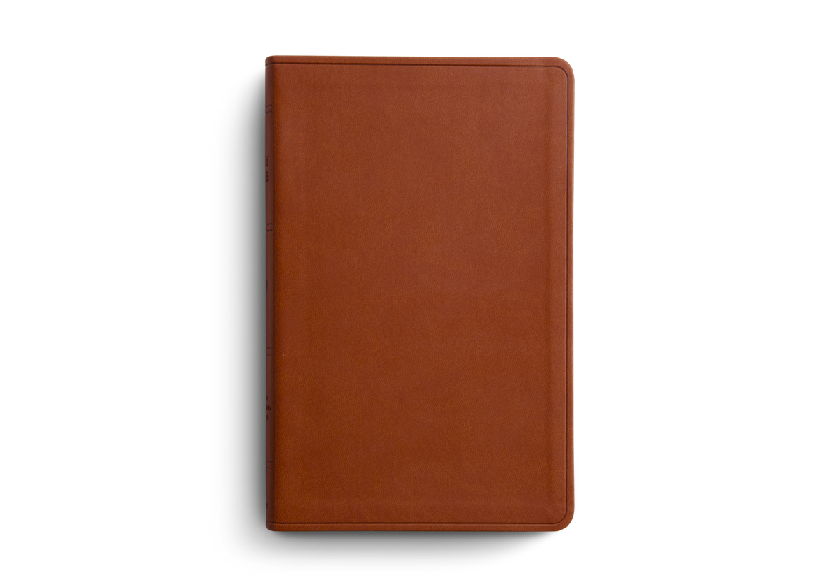 ESV Large Print Value Thinline Bible, TruTone Camel – detail 2