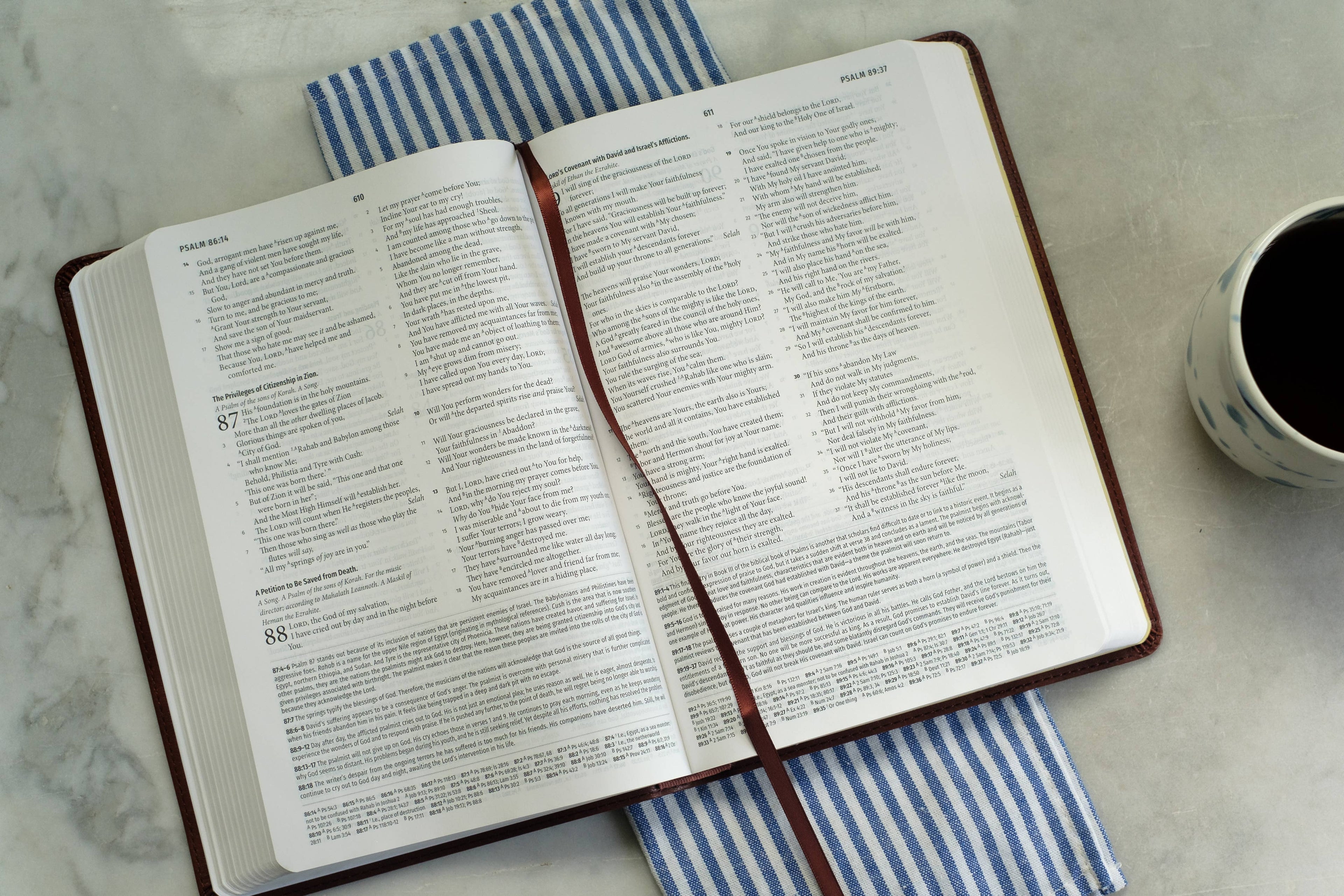 Light for Life NASB Study Bible (Mahogany Lighthouse)