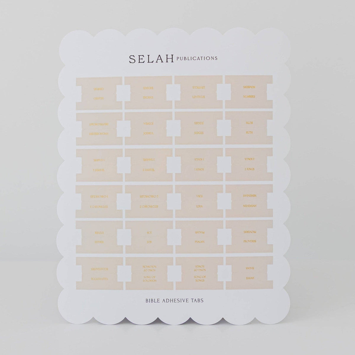 Blush Bible Tabs - Peony Theme
