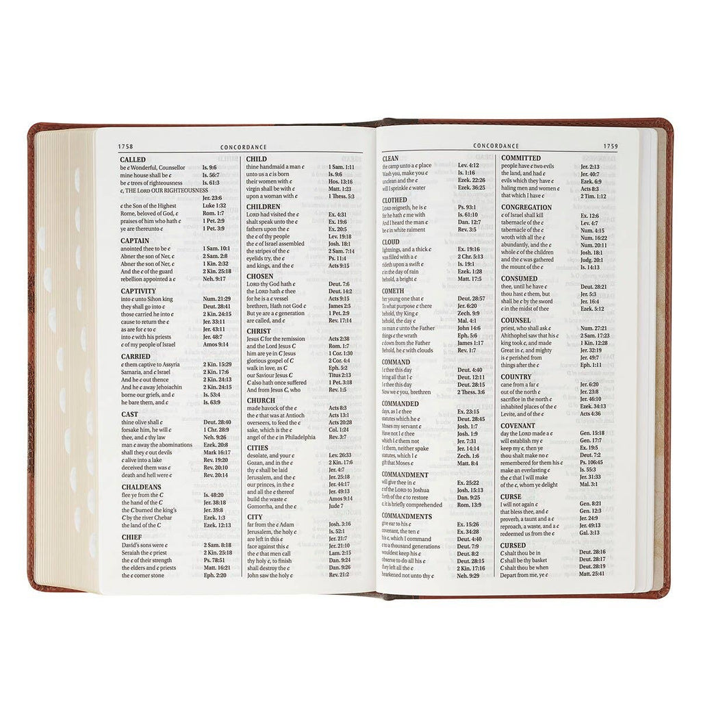 KJV Bible Giant Print Standard-size Faux Leather HC Tree