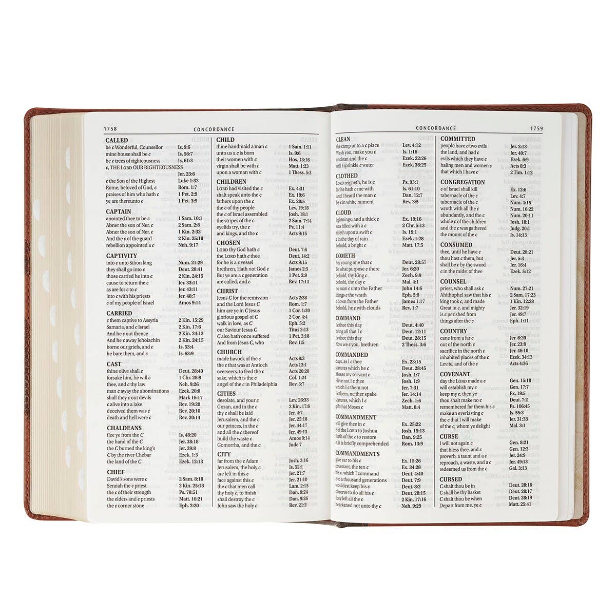 KJV Bible Giant Print Standard-size Faux Leather HC Tree