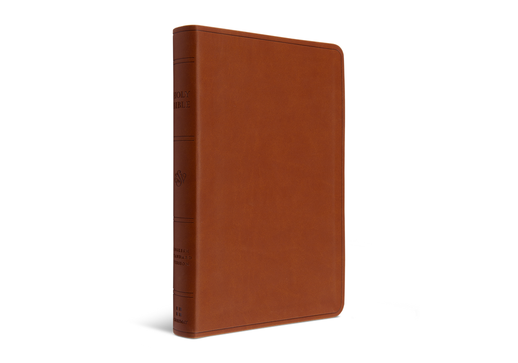 ESV Large Print Value Thinline Bible, TruTone Camel