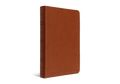 ESV Large Print Value Thinline Bible, TruTone Camel